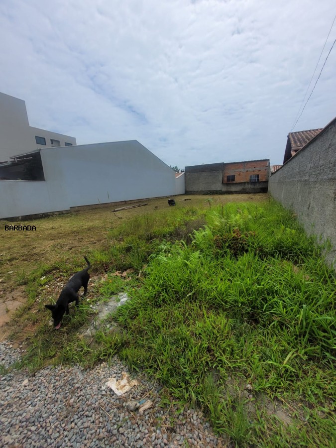 Terreno, 300 m² - Foto 4